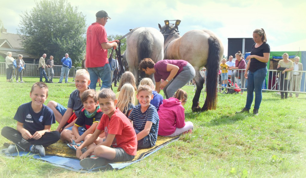 Boeremarkt 2016