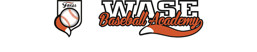 wase-baseball-academy